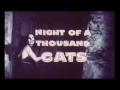 NIGHT OF A THOUSAND CATS - (1972) Trailer