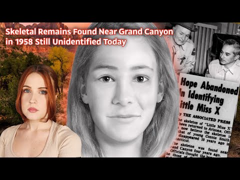 Der tragische Fall der kleinen Miss X: Wird diese junge Unbekannte jemals identifiziert werden?