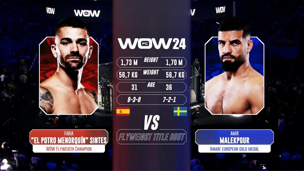 #UFCParis Fabia Sintes vs Amir Malekpour