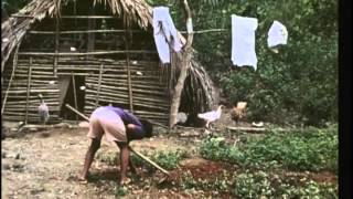 Tribo Avá-Canoeiro: a história de um "povo invisível" nas matas do país