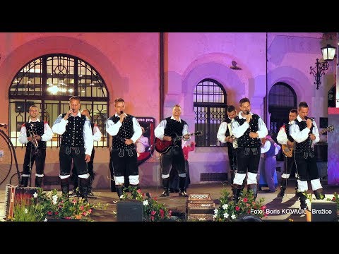 Petovia kvintet in Ansambel Opoj (Ans. Toneta Kmetca) - Ljubica lahko noč (v živo)