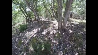 WERE BACK BUT NO LUCK