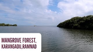 preview picture of video 'Mangrove forest, Karankadu,Ramnad | Tamil vlogs | Dr.Bala's vlog |'