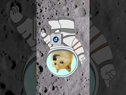 Dogecoin to the Moon! #dogecoin