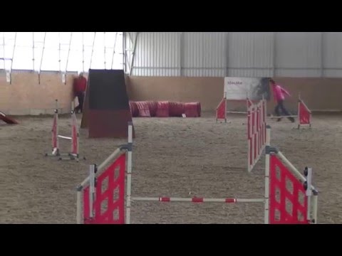 Sedliště trojzkoušky agility 5.12.2015 Zkouška 1 - Bára a Ara