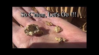 Insanely Rich Gold Nugget Patch Found Metal Detecting | ask Jeff Williams