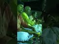 Andhra Great Artist Sri Kalahasti Sri K Nandagopal Gaaru Muni Kumar Gaaru Muni Gajendra Gaaru
