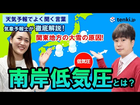冬になるとトゥジャが茶色になるのはなぜですか?原因と解決策は何ですか?  庭園