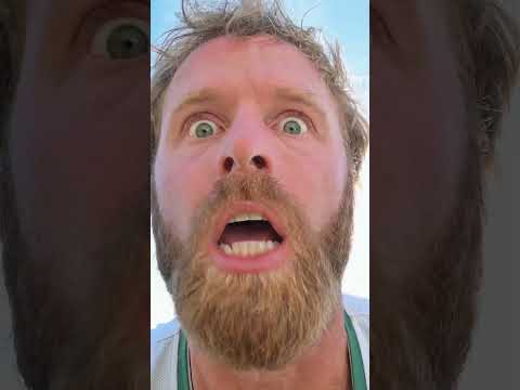 JJ McCarthy On The New York Giants #comedy