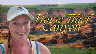 Horse Thief Canyon: A Drumheller Adventure