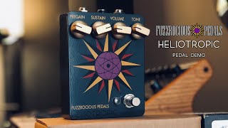Video thumbnail for Fuzzrocious Heliotropic on both guitar and bass by Jon Jourdan