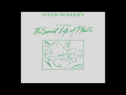 Videoclip de Power Flower — Stevie Wonder
