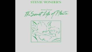 Stevie Wonder ~ Power Flower (432 Hz)