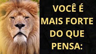? ?️ VOCÊ É MAIS FORTE DO QUE PENSA: Frases Motivacionais para Te Ajudar a Vencer os Desafios!