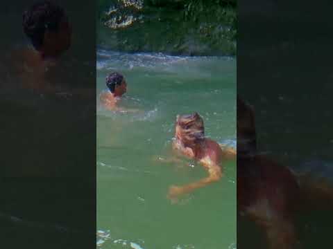 NEW O'RIGINALS COLLECTION