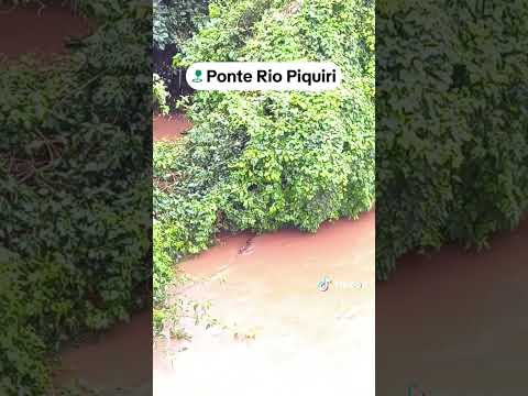 Sucuri no Rio Piquiri em Quarto Centenário/Nova Aurora