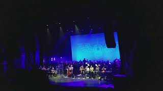 &quot;It&#39;s a Wonderful Life&quot; performed by the Bandits of the Acoustic Revolution Orchestra