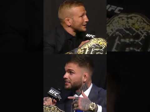 Proof that Cody and TJ faked their entire beef...