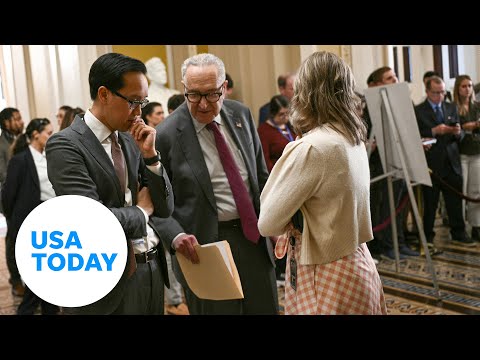 Undocumented immigrants and health care explained