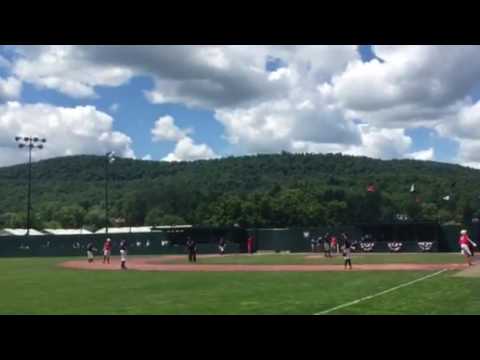 Goose with a Home Run Vs. New Hampshire Blue Jays
