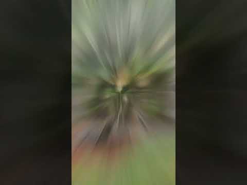 Alto da Boa Vista / São Paulo