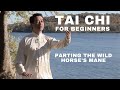 Tai Chi for Beginners - Increase Balance & Flexibility | Parting the Wild Horseโs Mane - BodyWisdom Tai Chi for Beginners - Increase Balance & Flexibility | Parting the Wild Horseโs Mane