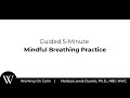 Guided 5-Minute Mindful Breathing Practice