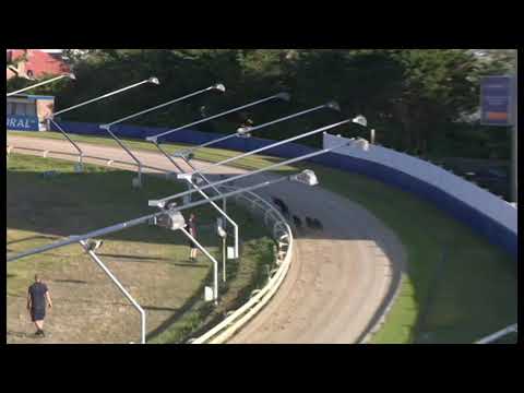 King Sheeran 18 7 20