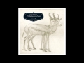 James Yorkston & The Big Eyes Family Players - Sovay