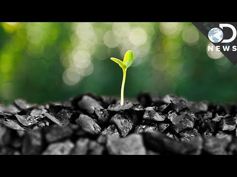 「乾淨的煤」其實不乾淨？背後的迷思 (Why Clean Coal Is A Myth)