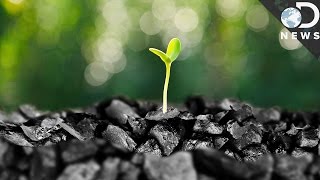 Why Clean Coal Is A Myth