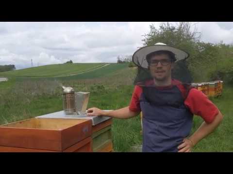 Brutableger bilden mit einem Saugling: #1 Saugling erstellen