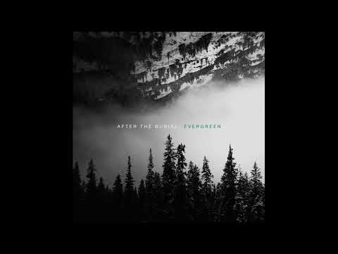 After The Burial - Behold The Crown Guitar pro tab