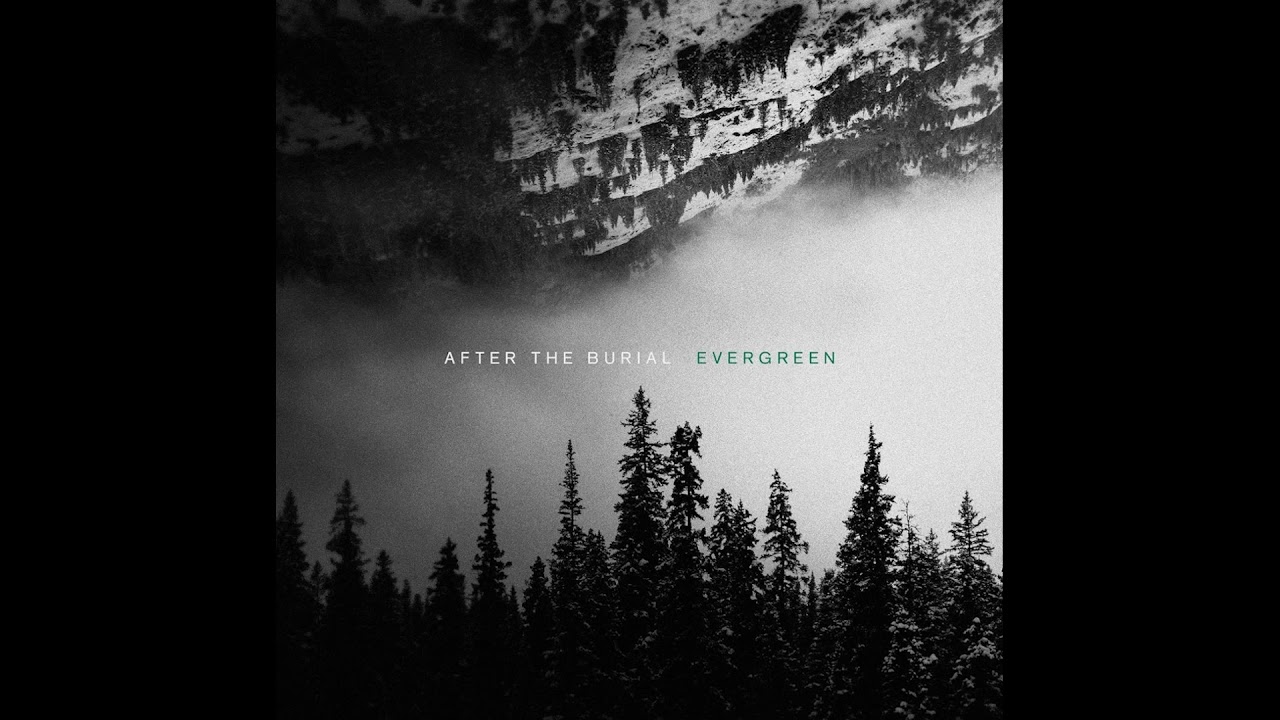 Vista previa del video en Youtube