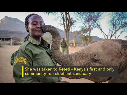 Help Kenya's Only Community-Run Elephant Sanctuary