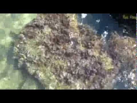 100 секунд_16-Турция Море Turkey Sea