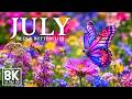 June 2026 Summer Paradise In 8K Endless Blooming Flowers Butterflies Busy Bees