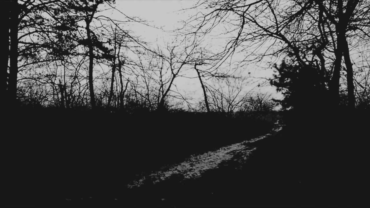 Thread | Erick O. Segura