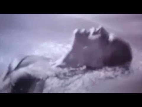 SINNER DC - Romy Schneider