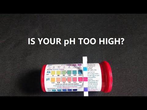 Is High pH Bad In Pool Water?