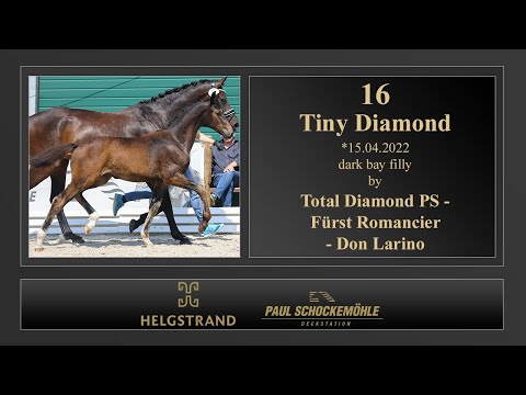 16 Tiny Diamond by Total Diamond PS - Fürst Romancier - Don Larino