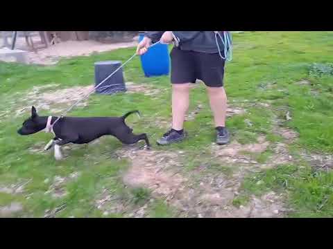 Vídeo de ZOE