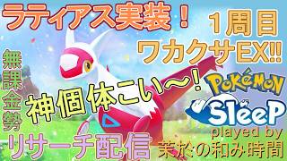 【#ポケスリ】ラティアス実装！EXで個体厳選スタート！【#ポケモンスリープ】貴重な！キャンチケ使用。ワカクサEX+８５％Plus+所持。無課金のんびりPokémonSleep実況♪