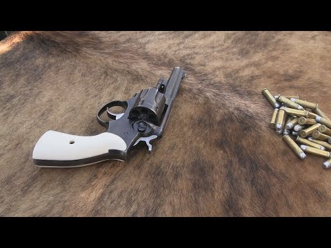 Ruger Police Service Six Chapter 2