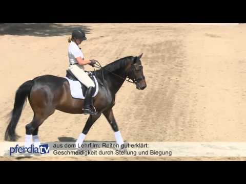 Reiten gut erklärt - Teil 3 - Geschmeidigkeit durch Stellung & Biegung