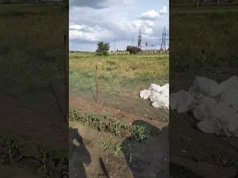 Сетка пластиковая для вольеров, заборов, цыплят 1,5х30м ячейка 20х20х2,2мм. ОТ ПРОИЗВОДИТЕЛЯ - фото 5 - id-p2795218522