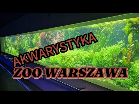 Film 11 metrowy zbiornik w ZOO Warszawa