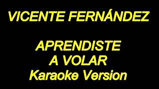 Vicente Fernandez - Aprendiste A Volar (Karaoke Lyrics) NUEVO!!