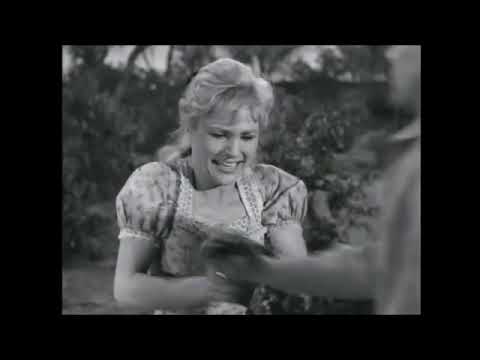 Maggie Hamilton gets her comeuppance  #shorts