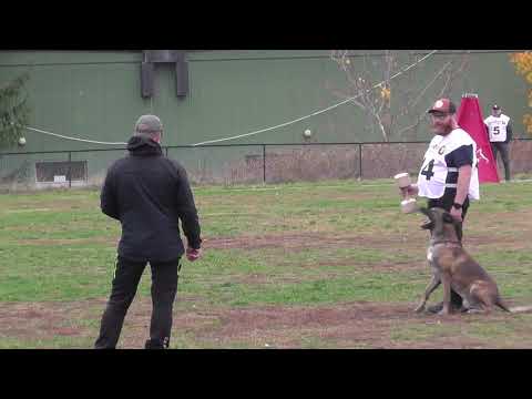 Erik Engeland - Crutt av Staalhjerte - B